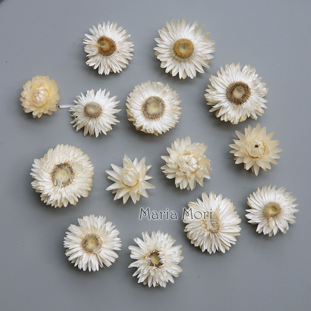 Natural Dried Colorful Chrysan - Candle Making Experience recension och pris